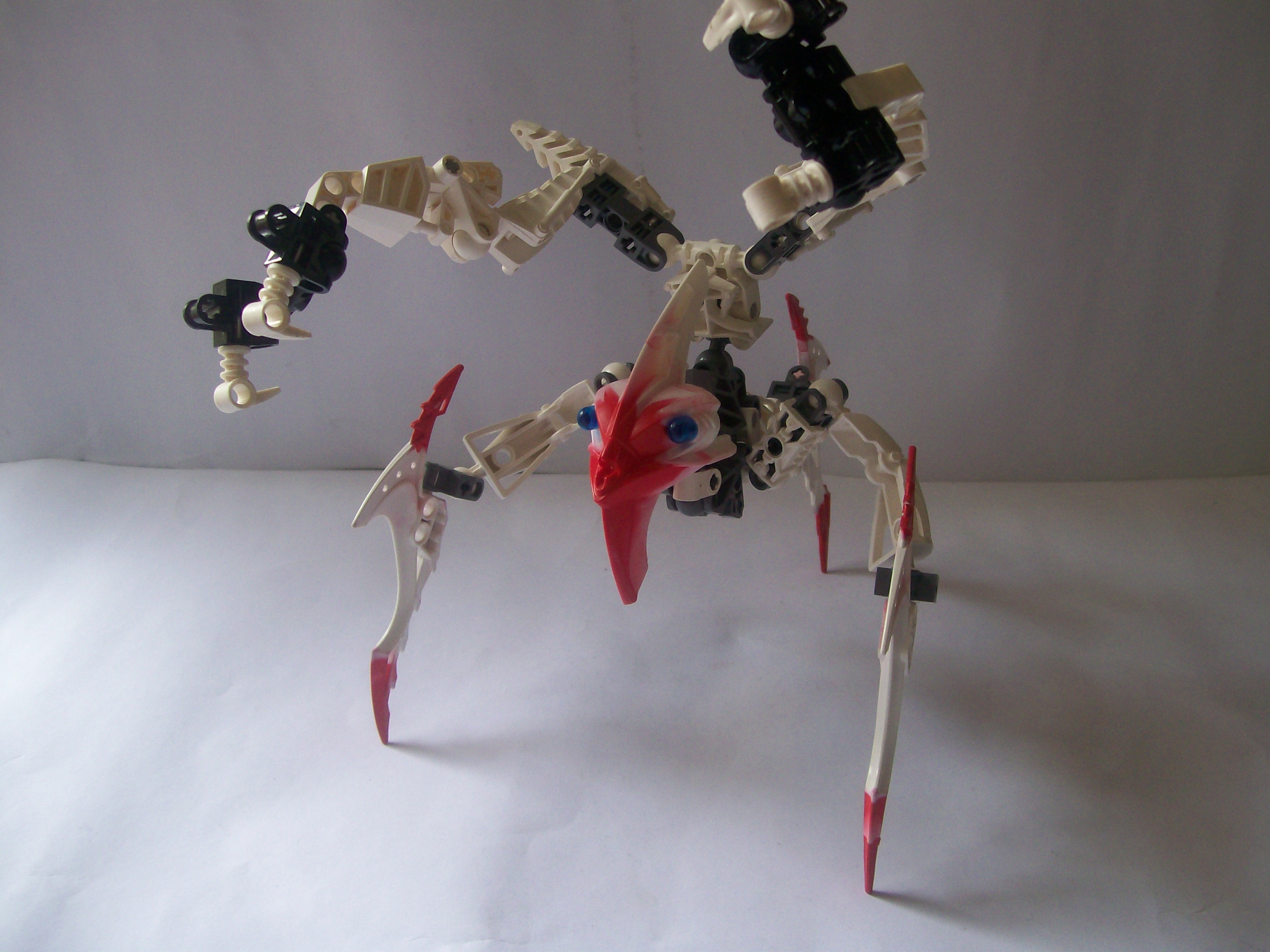 moc_048.jpg