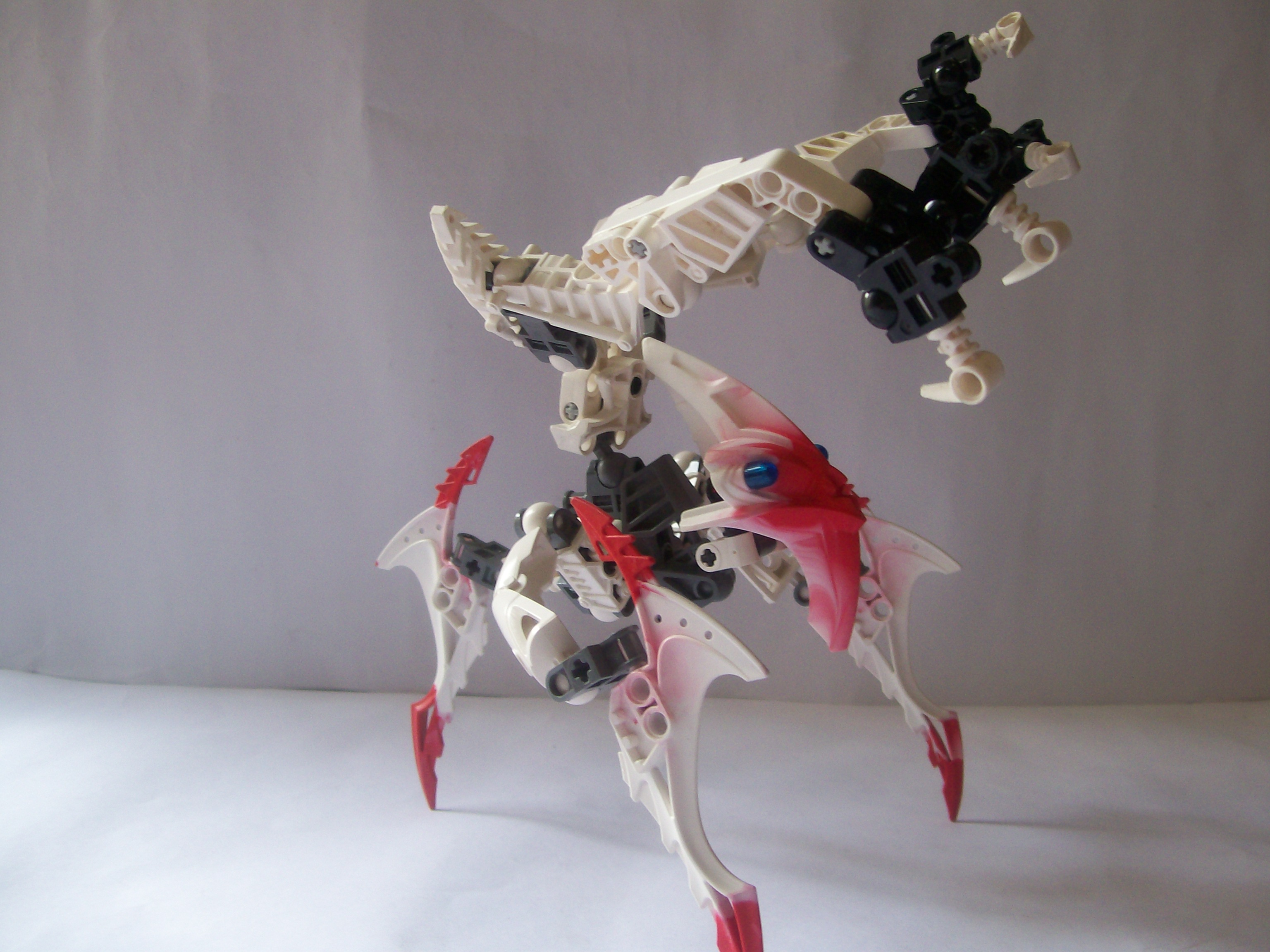 moc_049.jpg