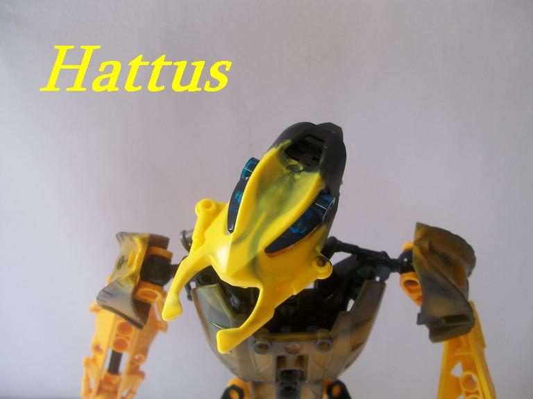 01_hattus.jpg