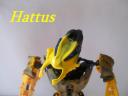 Hattus