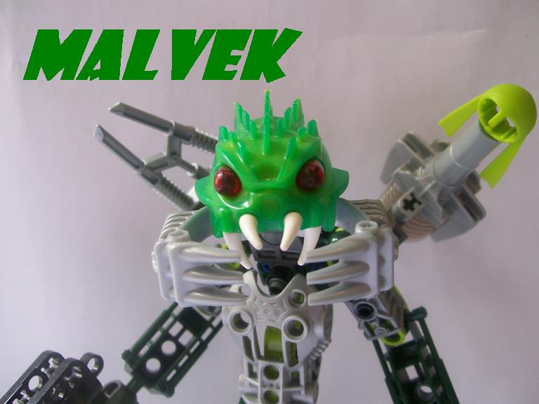01_malvek.jpg