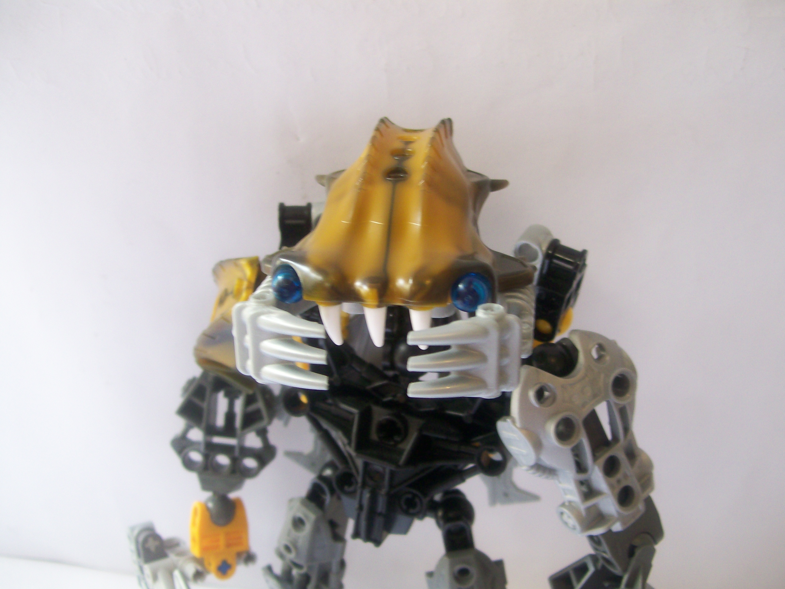 moc_059.jpg