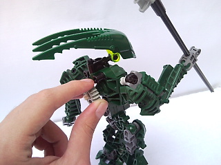 snc00315.jpg