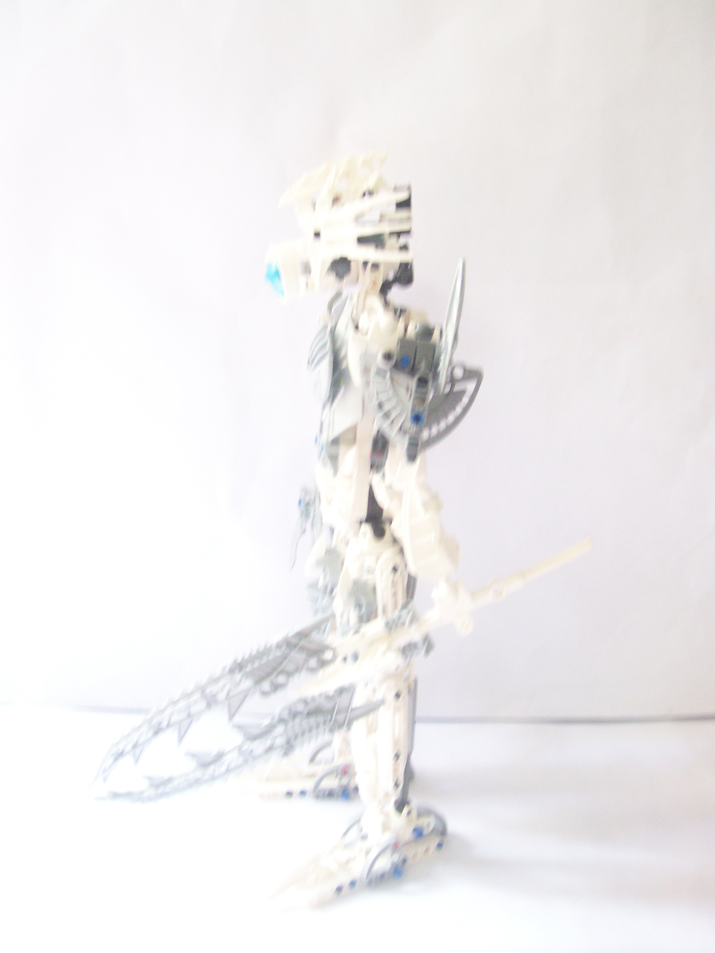 omega_01.jpg