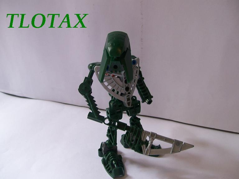 01_tlotax.jpg