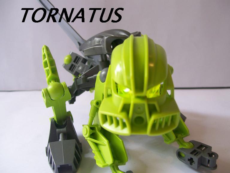 01_tornatus.jpg