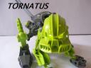 Tornatus