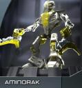 02_aminorak.jpg