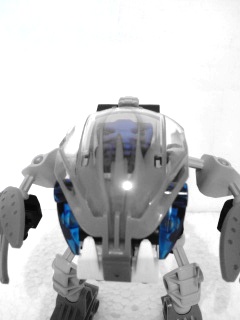 snc02295.jpg