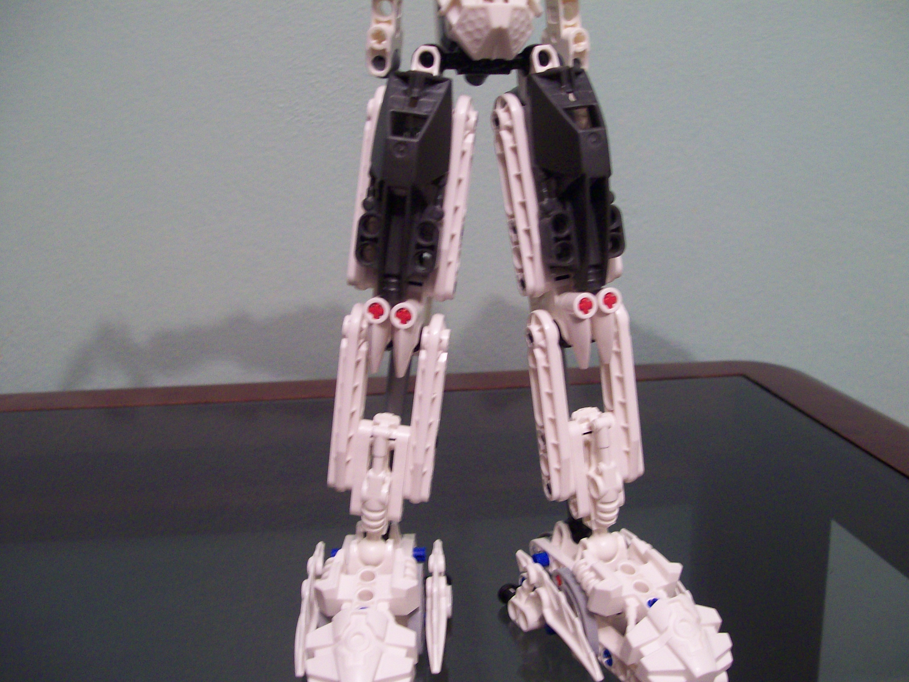 legs.jpg