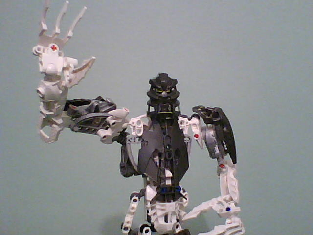 takanuva_01.jpg