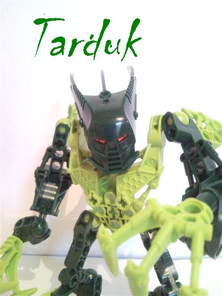 01_tarduk.jpg