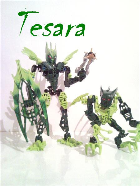 tesara.jpg