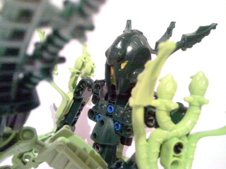 snc01322.jpg
