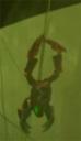 vohtarakclimb.jpg