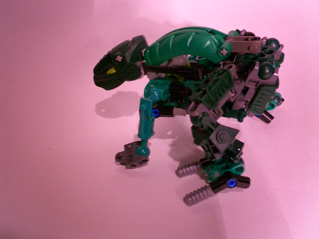 frog2.jpg