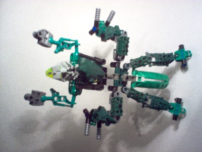 t5.jpg