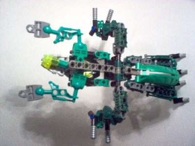 t6.jpg