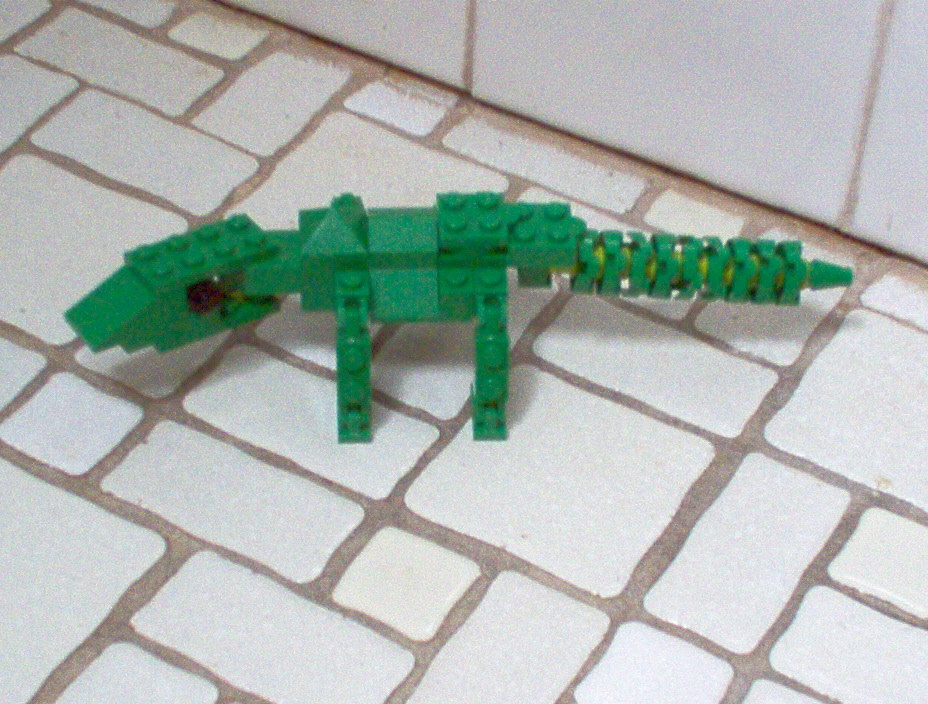 lizard.jpg