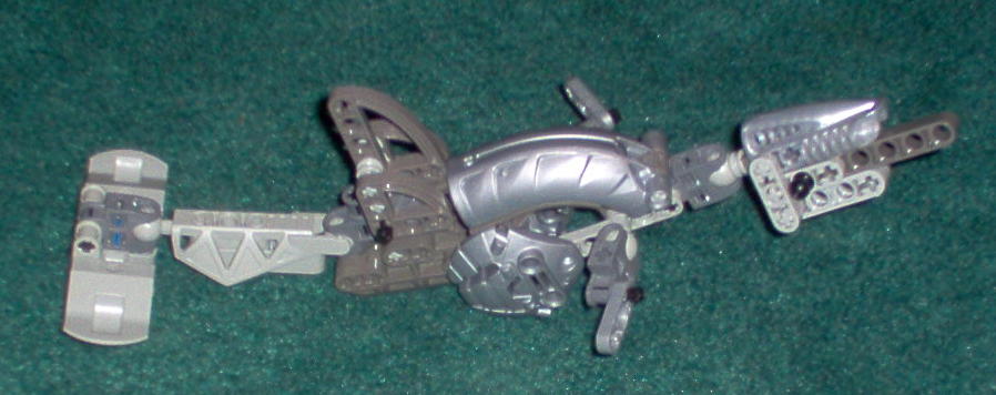 dolphin.jpg