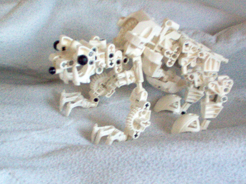 polarbear.jpg
