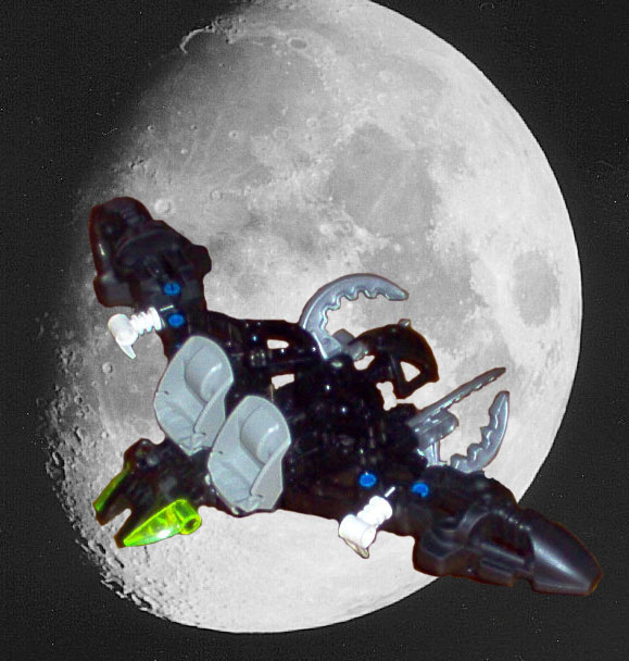 flyingbat.jpg