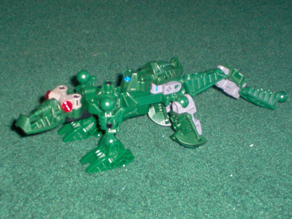 crocodile.jpg