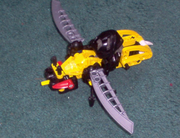 bee.jpg