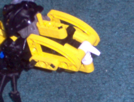 beesting.jpg