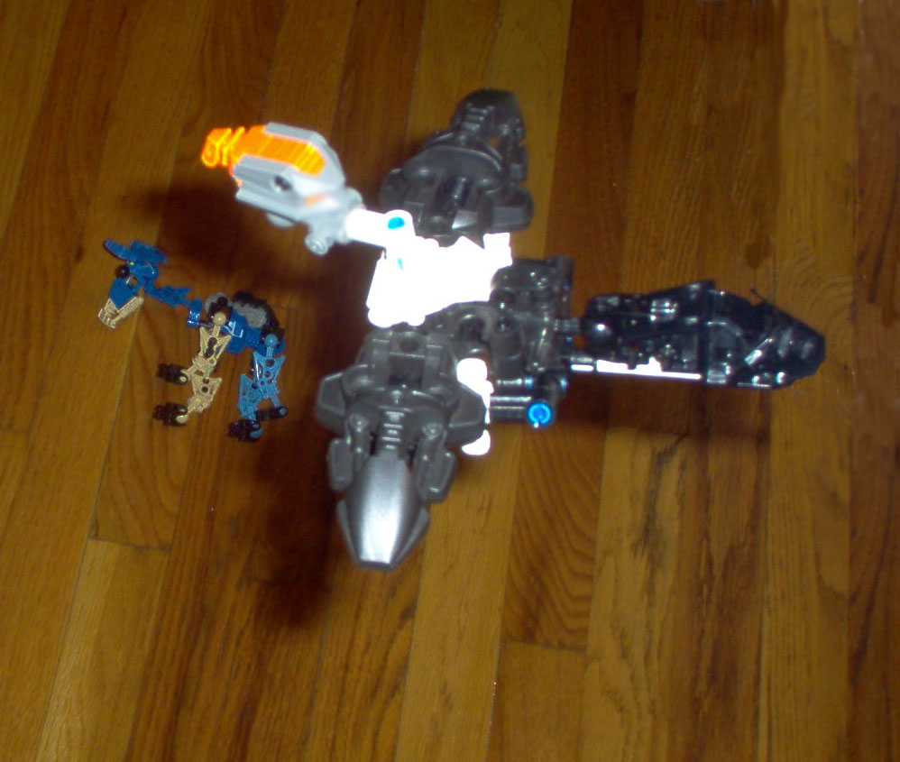 vulture2.jpg
