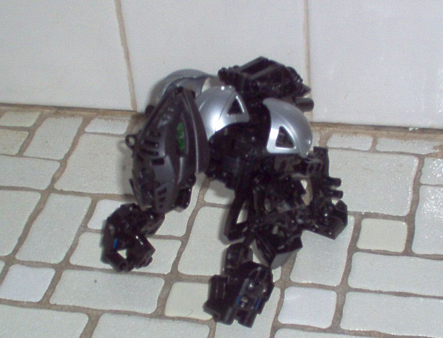 gorilla2.jpg