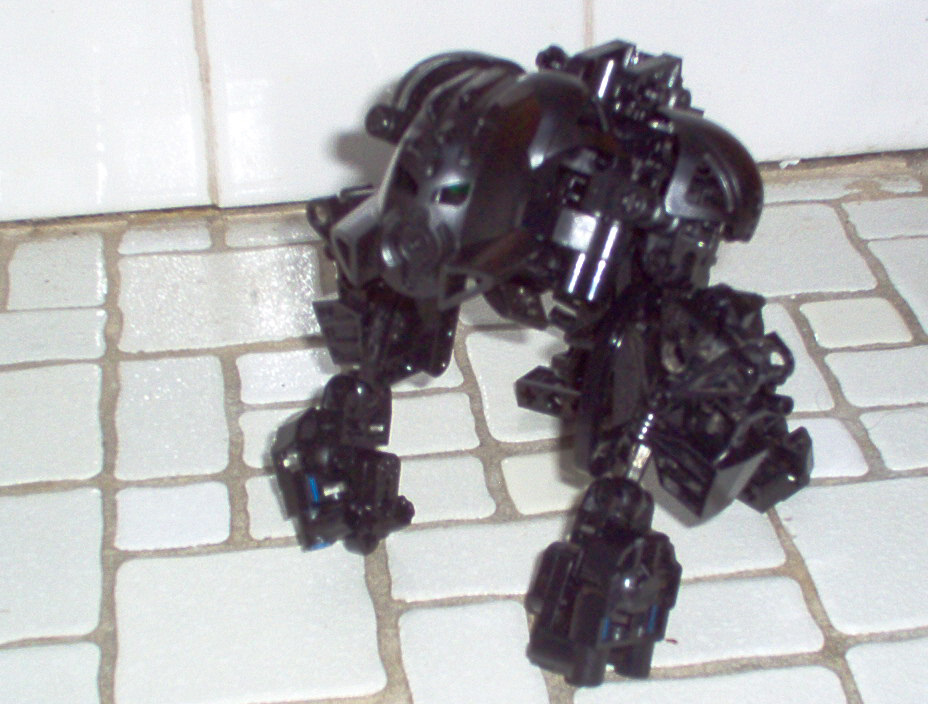 gorilla5.jpg