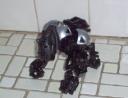 gorilla2.jpg