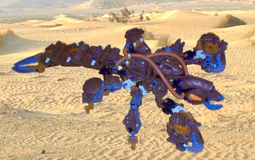 aaa.jpg