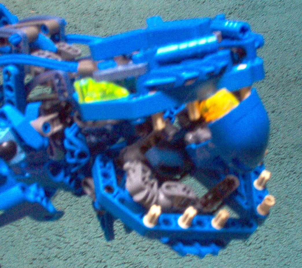 bigfish7.jpg