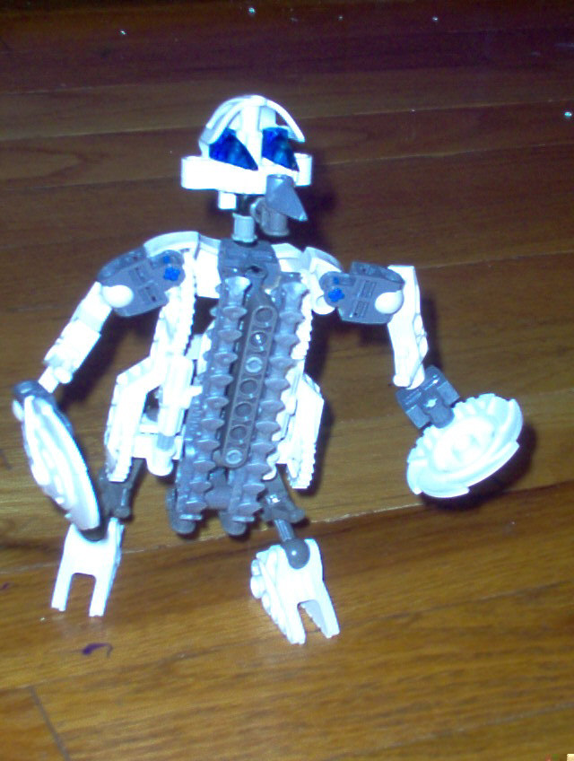 bonesii1.jpg
