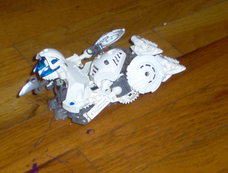 bonesii2.jpg