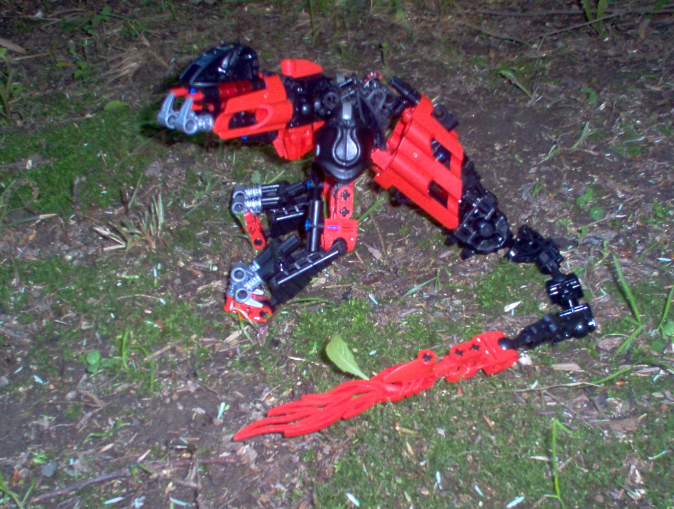 dragonsnake.jpg