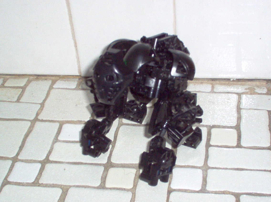 gorilla3.jpg