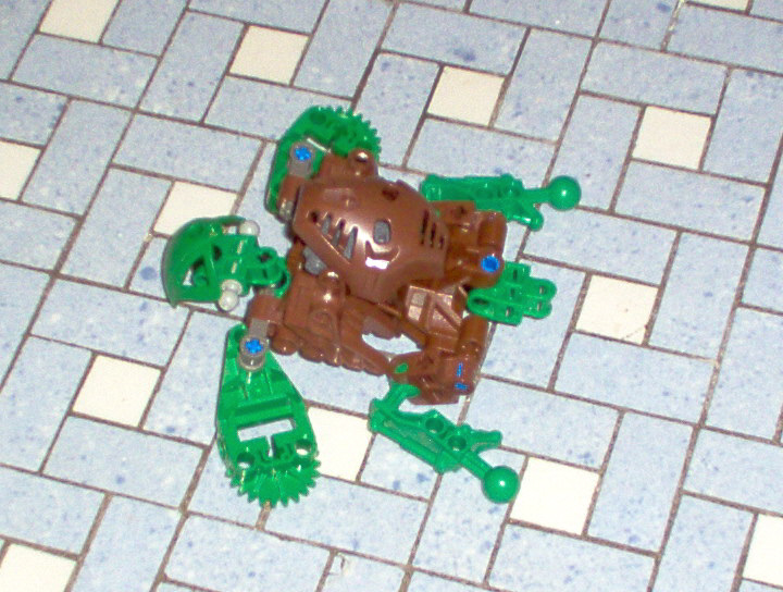 seaturtle.jpg