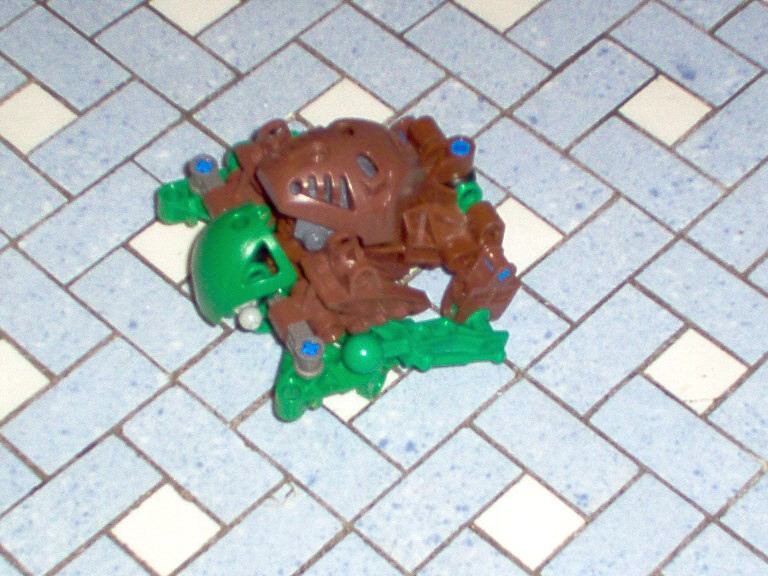 seaturtle2.jpg