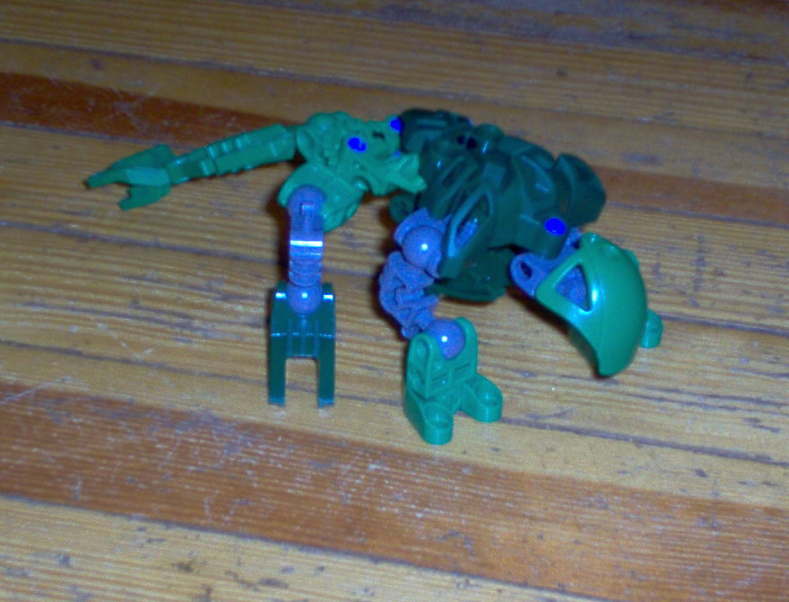 swamplizard.jpg