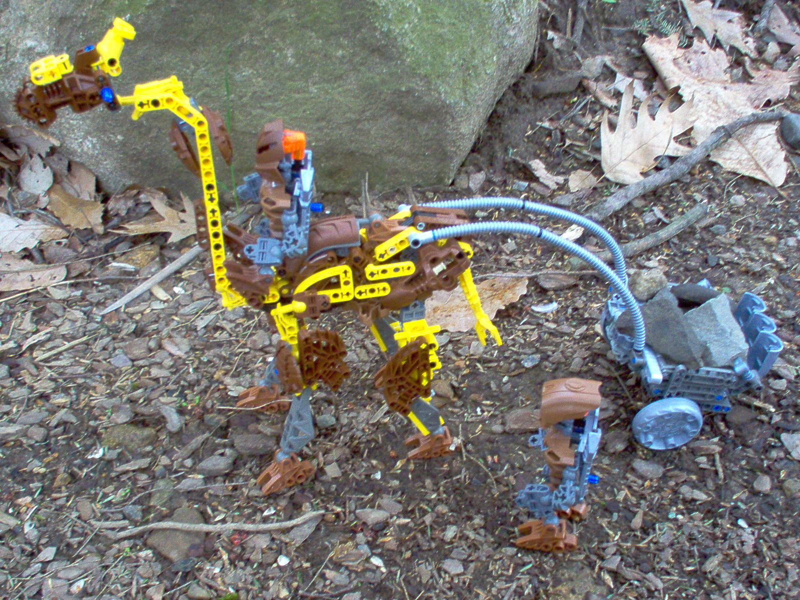cart1.jpg