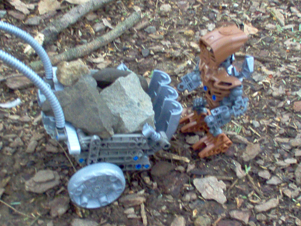 cart2.jpg