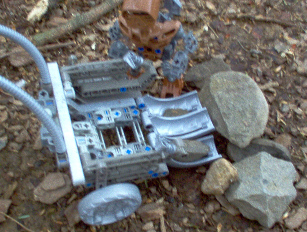 cart3.jpg