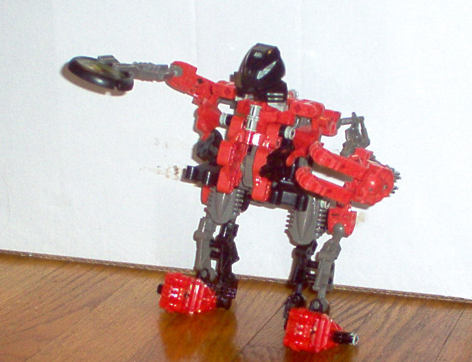 exotoran.jpg