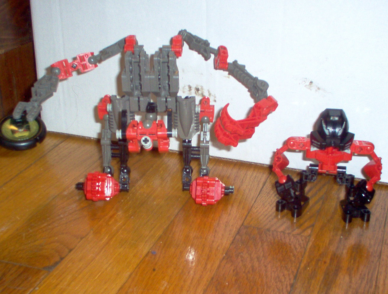 exotoranout.jpg