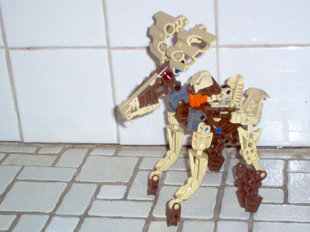 moose.jpg