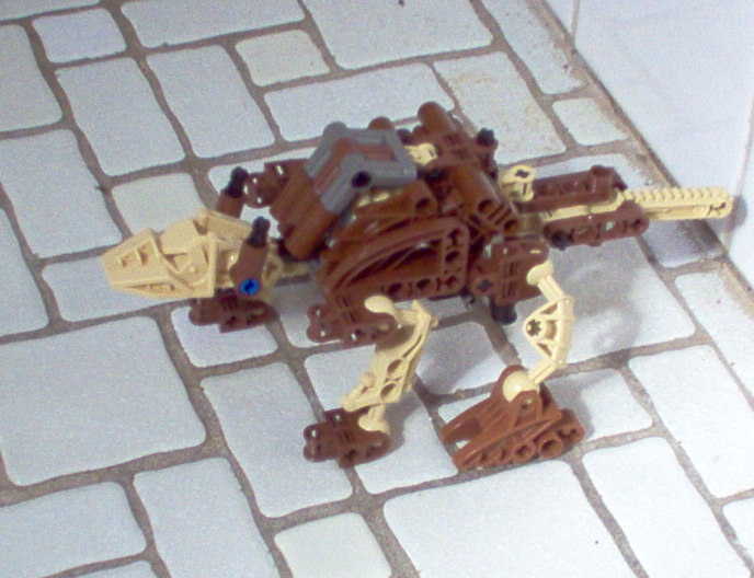 shellbackbeast.jpg