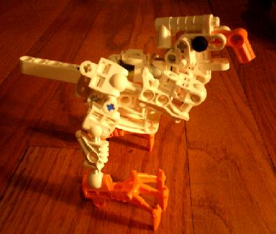 stupidchicken1.jpg